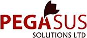 Pegasusolutions